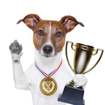 dog-prize-competition